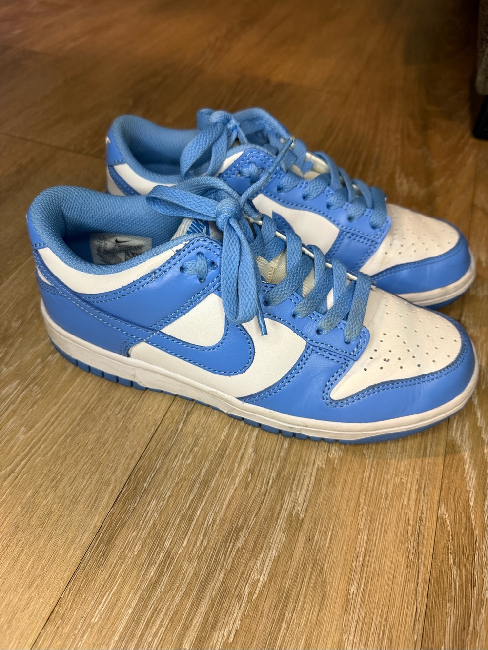 Nike Youth Dunk Low University